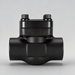 Forged Steel Check Valves